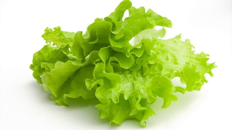 salat-2